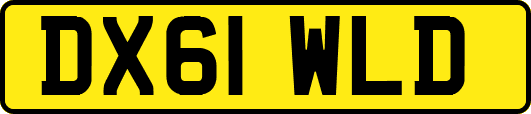 DX61WLD