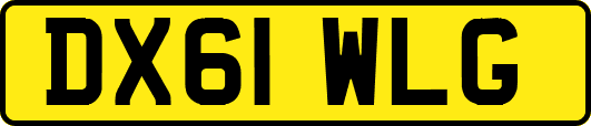 DX61WLG