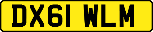 DX61WLM