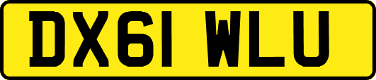 DX61WLU
