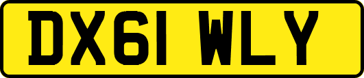 DX61WLY