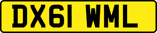 DX61WML