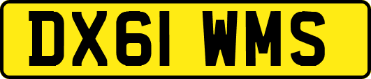 DX61WMS