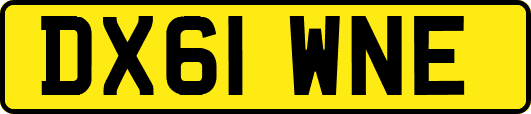 DX61WNE