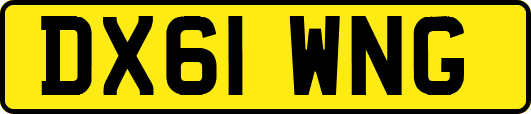 DX61WNG