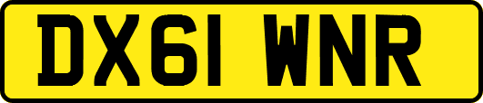 DX61WNR