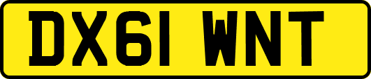 DX61WNT