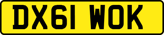 DX61WOK