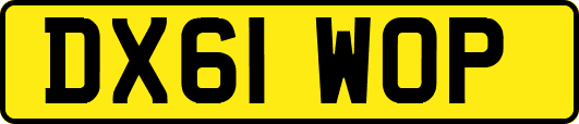 DX61WOP