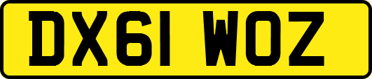 DX61WOZ