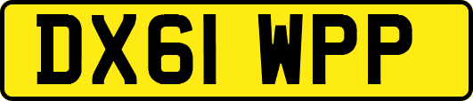 DX61WPP