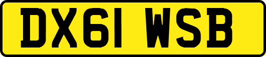 DX61WSB