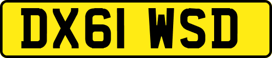 DX61WSD
