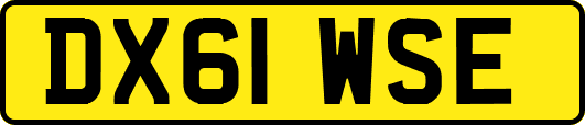 DX61WSE