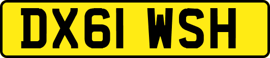 DX61WSH