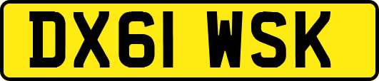 DX61WSK