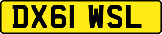DX61WSL