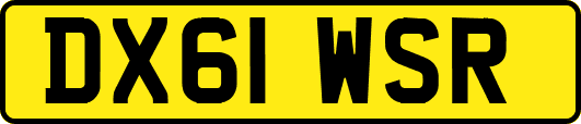 DX61WSR
