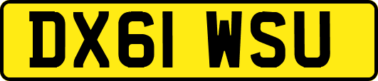 DX61WSU