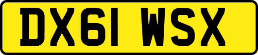 DX61WSX