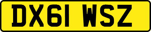 DX61WSZ