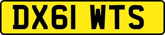DX61WTS