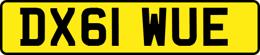 DX61WUE