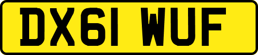 DX61WUF
