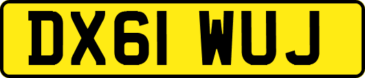 DX61WUJ