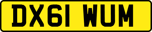 DX61WUM