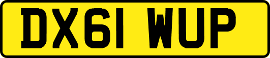 DX61WUP