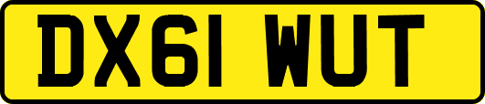 DX61WUT