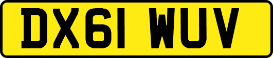DX61WUV