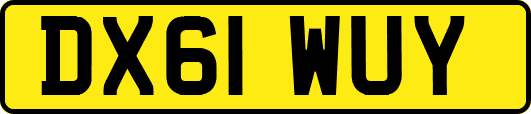DX61WUY