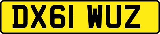 DX61WUZ