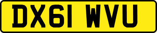 DX61WVU