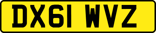 DX61WVZ