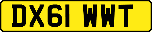 DX61WWT