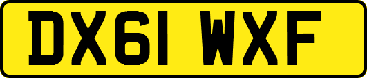 DX61WXF
