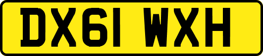 DX61WXH