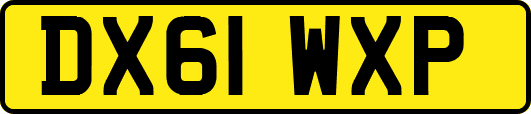 DX61WXP