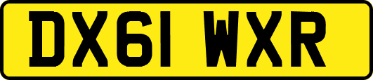 DX61WXR