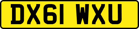 DX61WXU