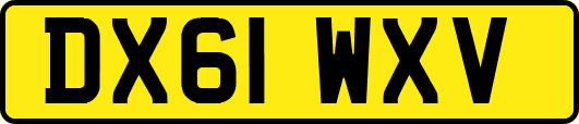 DX61WXV