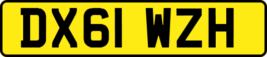 DX61WZH