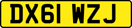 DX61WZJ