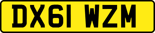 DX61WZM