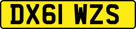 DX61WZS