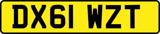 DX61WZT