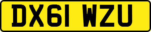 DX61WZU